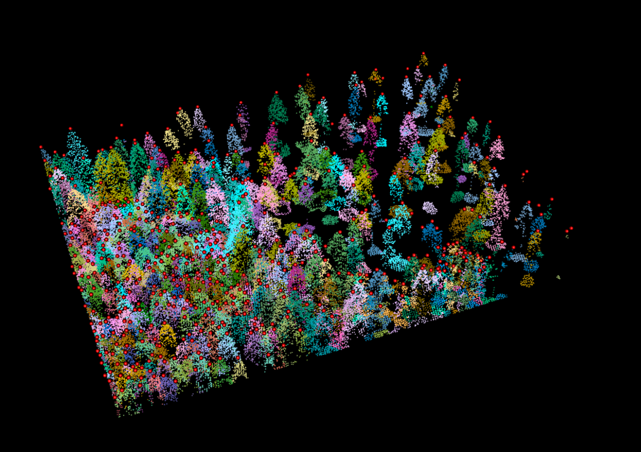 The treetops as red dots on top of our segmented pointcloud.